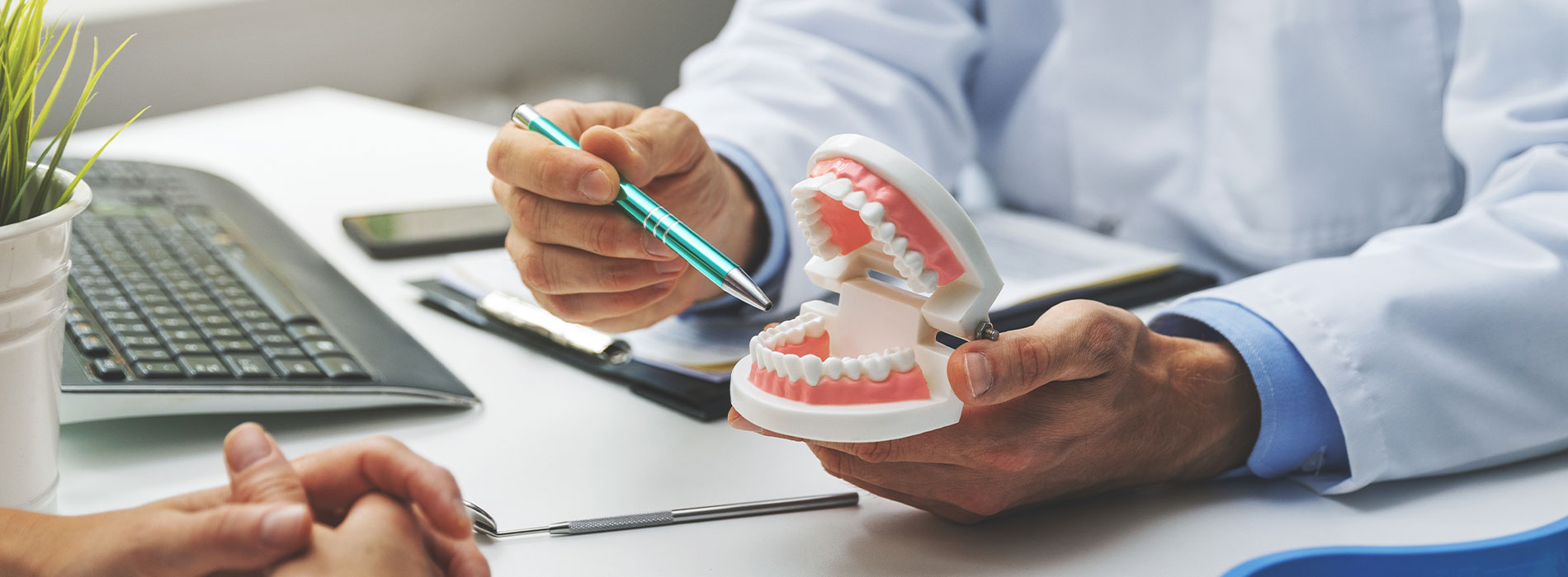 The image shows a dental professional holding up a model set of teeth with a toothbrush, while another person is seated at a desk with a keyboard, looking attentively towards the model teeth.