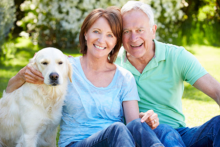 An elderly couple posing with a golden retriever dog on a sunny day.